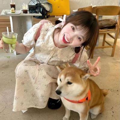 罗勃先生