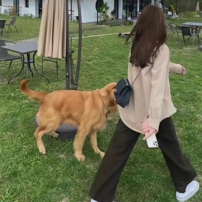 罪不可赦